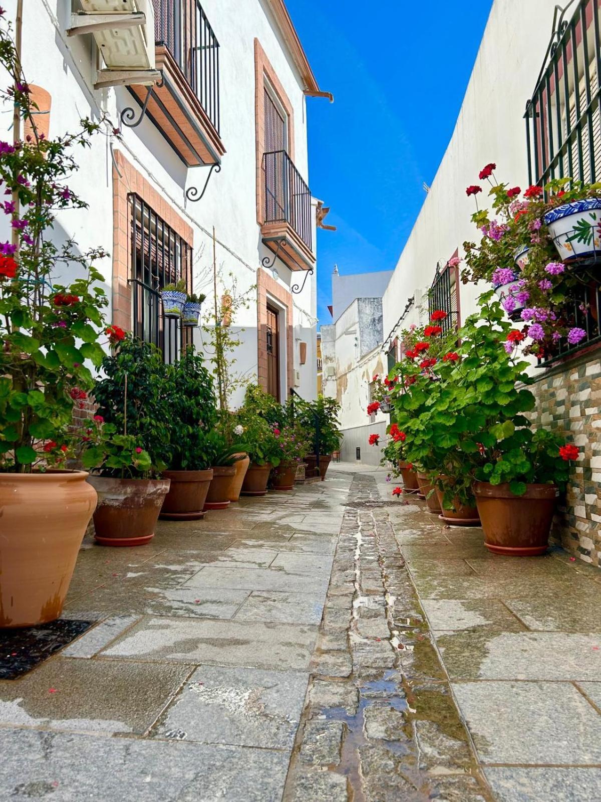 El Txoko Andaluz Ferienhaus *